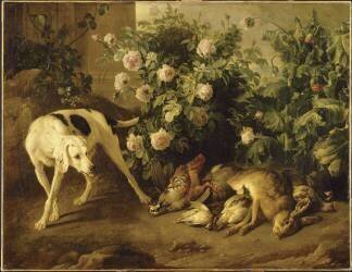 Chien gardant du gibier auprès d'un buisson de roses (Alexandre-François Desportes) - Muzeo.com