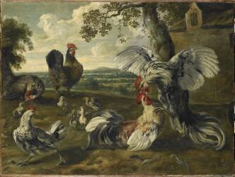 Combat de coqs et de poules (Pieter van Boucle) - Muzeo.com