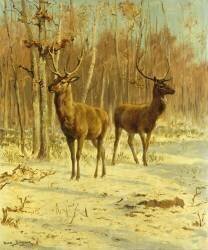 Deux cerfs dans une clairière en hiver (Rosa Bonheur) - Muzeo.com
