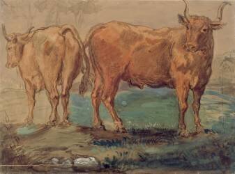 Deux taureaux dans la campagne (Théodore Chasseriau) - Muzeo.com