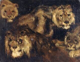 Etude d'après quatre études de lions (Théodore Géricault) - Muzeo.com