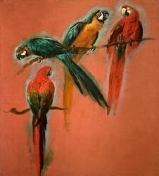 Etude de quatre perroquets (Pieter Boel) - Muzeo.com