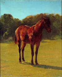 Étude du cerisier bai de cheval (Rosa Bonheur) - Muzeo.com