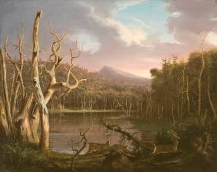 Lac et arbres morts (Thomas Cole) - Muzeo.com