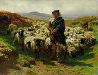 Le berger des Highlands (Rosa Bonheur) - Muzeo.com