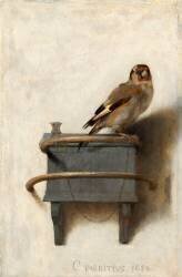 Le Chardonnet (Carel Fabritius) - Muzeo.com