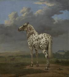 Le cheval 