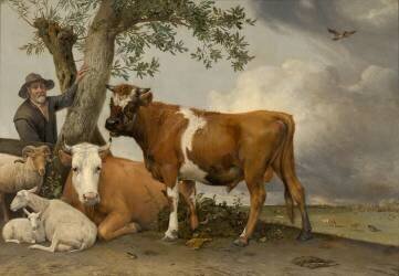 Le Taureau (Paulus Potter) - Muzeo.com