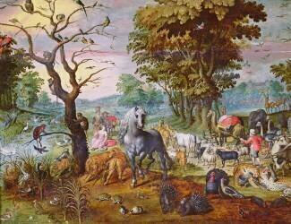 L'entrée dans l'arche (Jan van Kessel) - Muzeo.com