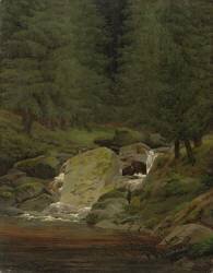 Les Evergreens près de la cascade (Caspar David Friedrich) - Muzeo.com