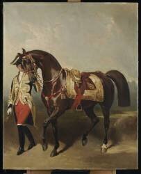 Lisa, jument favorite de Napoléon III (Alfred Dedreux (d'après)) - Muzeo.com