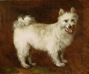 Loulou de Poméranie (Thomas Gainsborough) - Muzeo.com