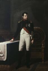 Napoléon Ier (1769-1821) en uniforme de colonel des chasseurs de la garde (Robert Lefèvre) - Muzeo.com