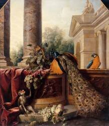 Nature morte au paon (Alexandre-François Desportes) - Muzeo.com
