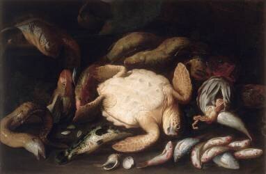 Nature-morte à la tortue et aux poissons (anonyme) - Muzeo.com