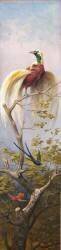 Oiseau (Adolphe Yvon) - Muzeo.com