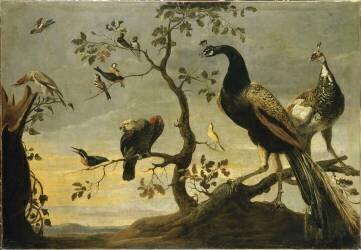 Oiseaux sur des branches (Frans Snyders) - Muzeo.com