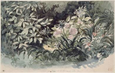Parterre de fleurs avec hortensias roses, scylles bleutés et anémones rouges (Eugène Delacroix) - Muzeo.com