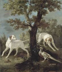 Perle et Ponne, chiennes de la meute de Louis XV (1710-1774) (Jean-Baptiste Oudry) - Muzeo.com