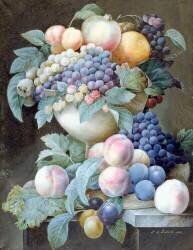 Raisins dans une coupe (Pierre Joseph Redouté) - Muzeo.com