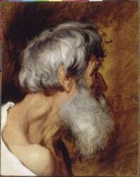 Tête de vieillard (Pierre Paul Rubens) - Muzeo.com