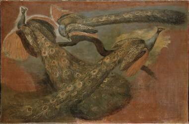 Trois paons (Pieter Boel) - Muzeo.com