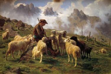 Un berger des Alpes donnant du sel à ses moutons (Rosa Bonheur) - Muzeo.com