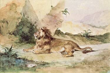 Un lion dans le désert (Eugène Delacroix) - Muzeo.com