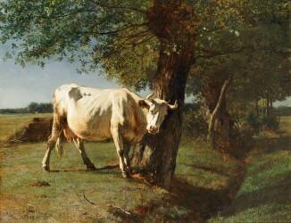 Vache qui se gratte (Constant Troyon) - Muzeo.com