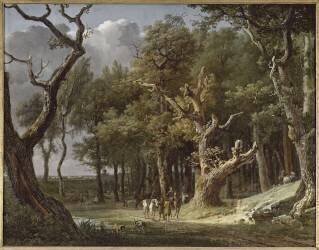 Vue prise dans la forêt de Fontainebleau (Jean-François Hue) - Muzeo.com