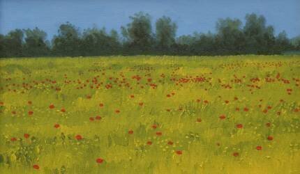 Champ jaune avec des coquelicots (Alan Byrne) - Muzeo.com