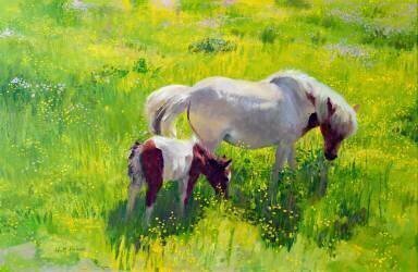 Cheval pie et poulain (William Ireland) - Muzeo.com