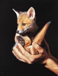 Dans le creux de nos mains (Christophe Drochon) - Muzeo.com