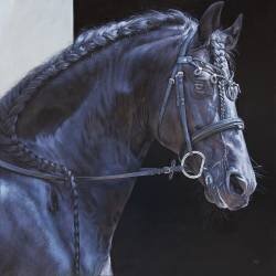 Le beau Stoer (Christophe Drochon) - Muzeo.com