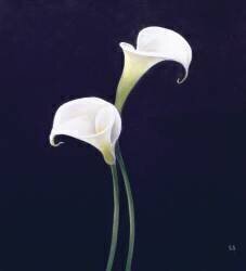Lys (Lincoln Seligman) - Muzeo.com
