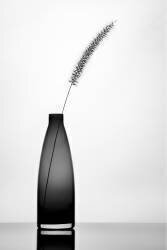 Minimaliste (Eyal Amer) - Muzeo.com