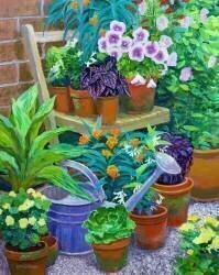 Pots (William Ireland) - Muzeo.com
