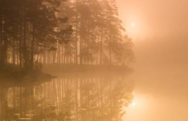 Soleil une brume (Andreas Christensen) - Muzeo.com