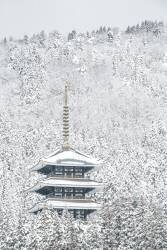 Tour d'hiver (Naoya Yoshida) - Muzeo.com