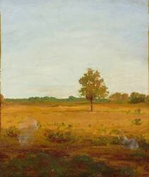 Arbre dans la lande (Odilon Redon) - Muzeo.com