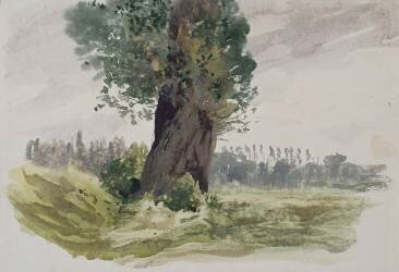 Arbre dans une prairie (Odilon Redon) - Muzeo.com