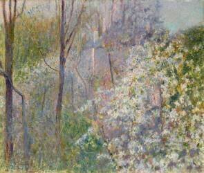 Arbres en fleurs (Serafino Macchiati) - Muzeo.com