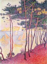 Bateau à Voile et Pins (Paul Signac) - Muzeo.com
