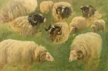 Béliers et moutons à tête noire, 10 esquisses (Rosa Bonheur) - Muzeo.com