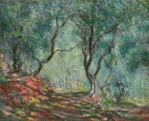 Bois d'oliviers au jardin Moreno (Claude Monet) - Muzeo.com