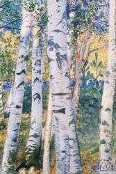 Bouleaux (Carl Larsson) - Muzeo.com