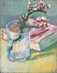 Branche d'amandier en fleurs dans un verre avec un livre (Vincent van Gogh) - Muzeo.com