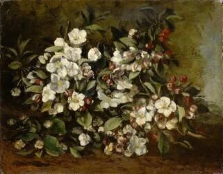 Branche de pommier en fleurs dit aussi Fleurs de cerisiers (Gustave Courbet) - Muzeo.com
