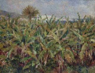 Champ de bananiers (Auguste Renoir) - Muzeo.com