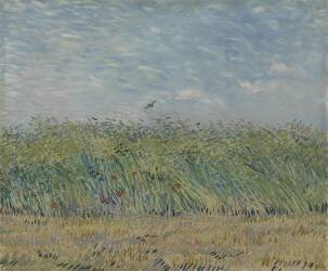 Champ de blé avec perdrix (Vincent van Gogh) - Muzeo.com